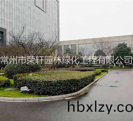 常州市榮軒園林綠化工程有限公司