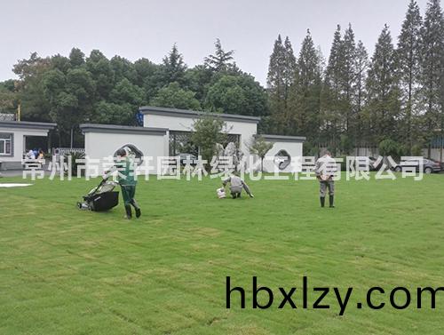 常州永安行養(yǎng)護(hù)