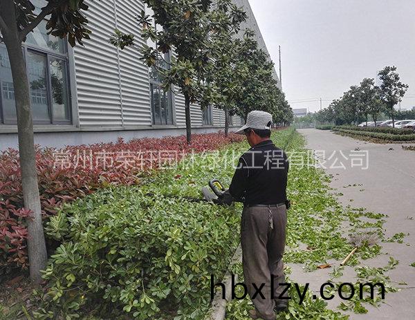 溧陽中興西田養(yǎng)護