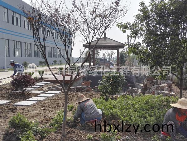 常州技研精工施工