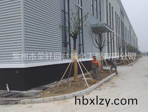 格瑞空調(diào)施工