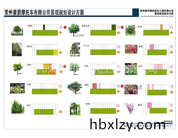 豪爵摩托綠化方案全版