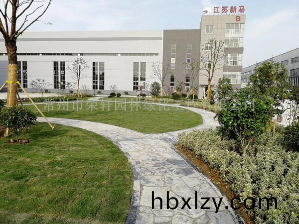 常州新馬干燥施工