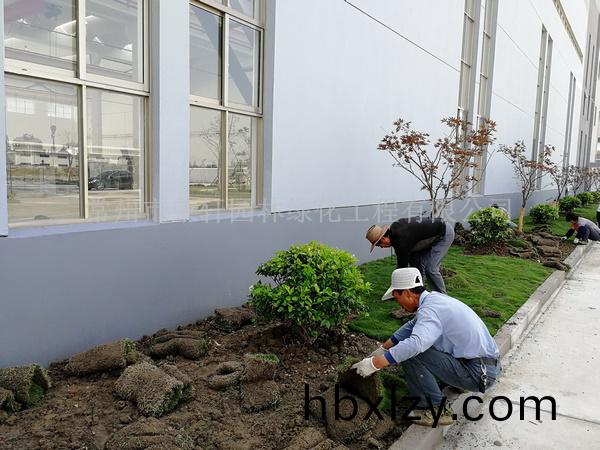 常州新馬干燥施工