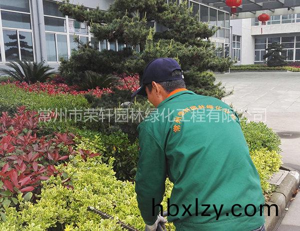 溧陽(yáng)中興西田養(yǎng)護(hù)