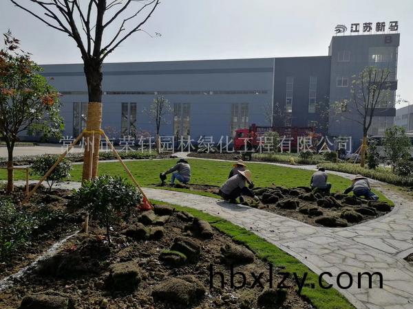 常州新馬干燥施工