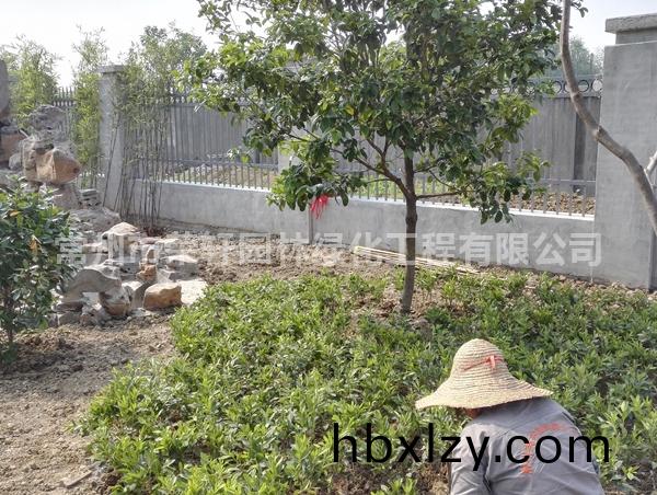 常州技研精工施工