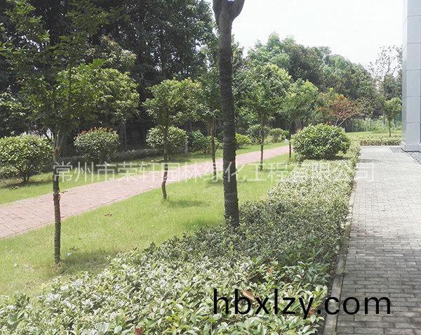 愛(ài)科（常州）機(jī)械養(yǎng)護(hù)