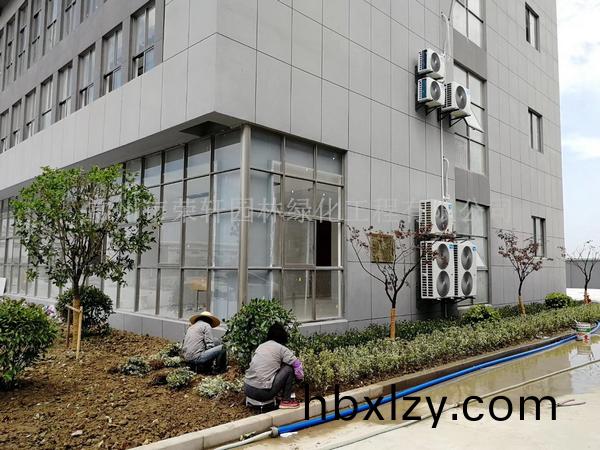 常州新馬干燥施工