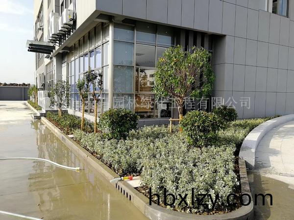 常州新馬干燥施工