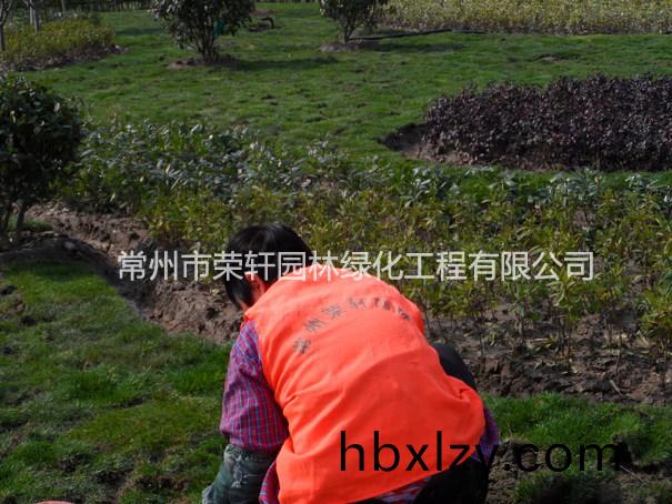 兆勝集團(tuán)施工