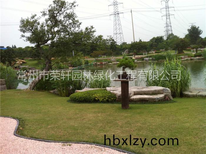 常州榮軒園林綠化養(yǎng)護(hù)的服務(wù)標(biāo)準(zhǔn)和方案