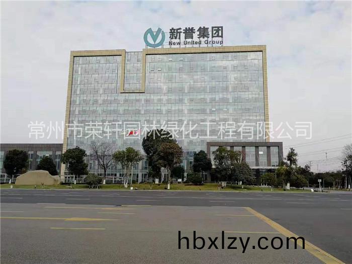 常州新譽(yù)集團(tuán)養(yǎng)護(hù)