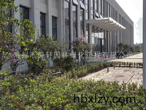 南京中石化施工