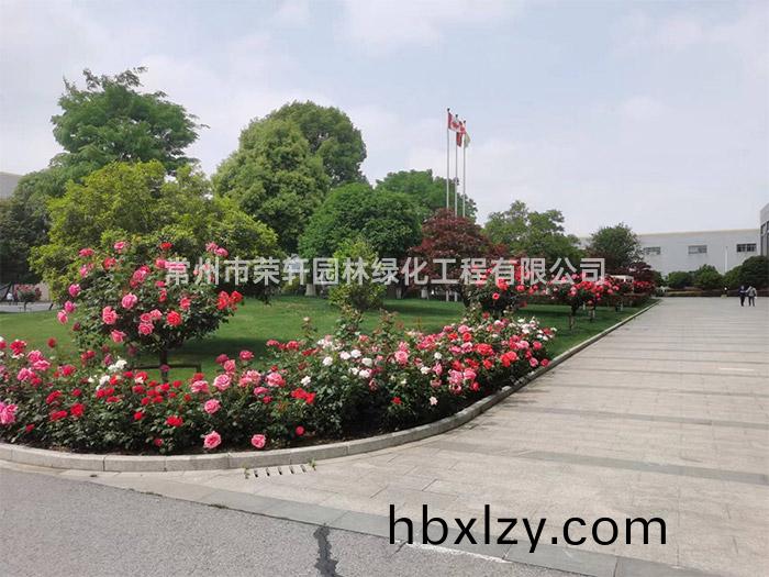 常州新譽(yù)集團(tuán)養(yǎng)護(hù)